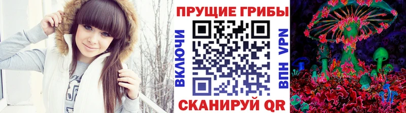 omg рабочий сайт  Щёлково  Псилоцибиновые грибы прущие грибы  что такое наркотик 